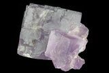Lustrous Purple Cubic Fluorite Crystals - Morocco #80312-1